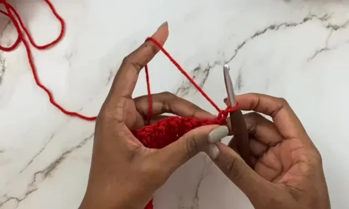 Row 3: Double crochet across the row.