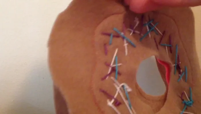 Sew along the outside circle, leaving a gap for stuffing.