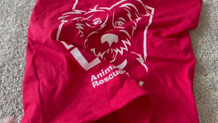 Turn the pillowcase right side out through the opening in the back. Insert pillow form.