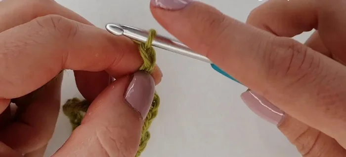 Repeat steps 2-5 until the end of the row. End with a double crochet in the last chain.
