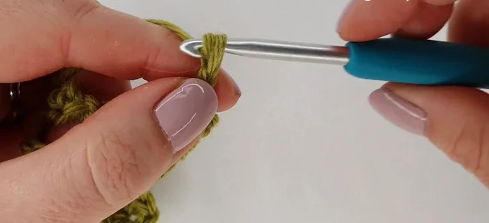 End the row with a double crochet in the top of the turning chain from the previous row.