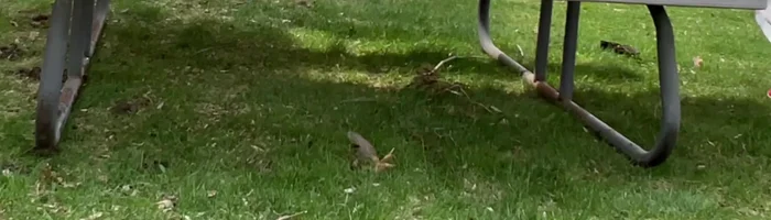 Cut the tablecloth to the desired size.