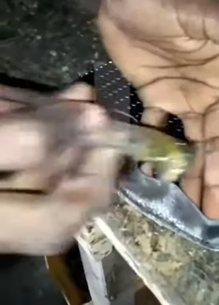 Fold the pieces together.