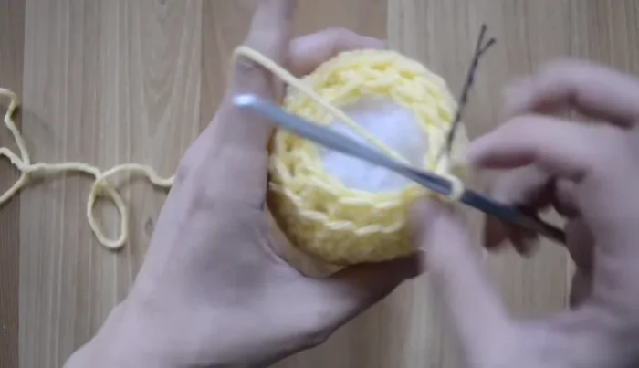 Sew the opening closed.