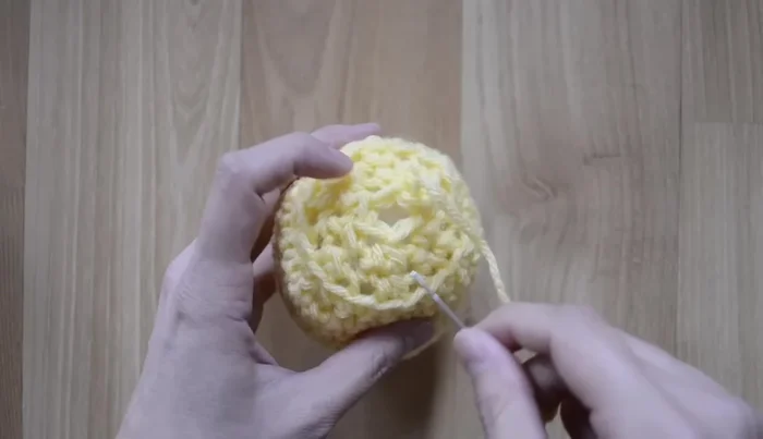 Sew the opening closed.