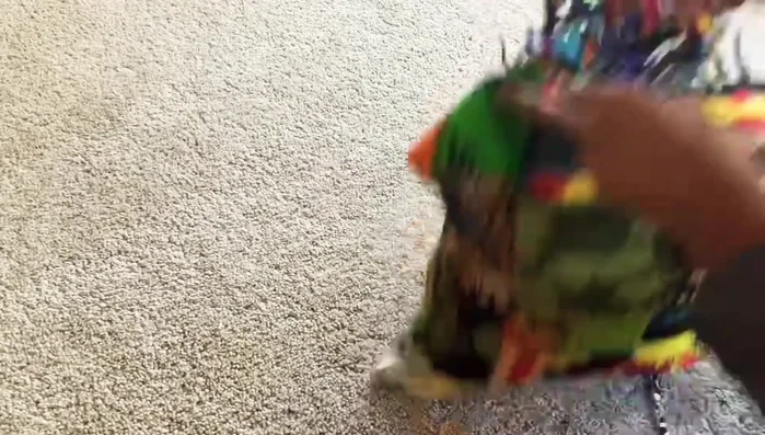 Fold in the raw edges of the gap, and hand-sew it closed.