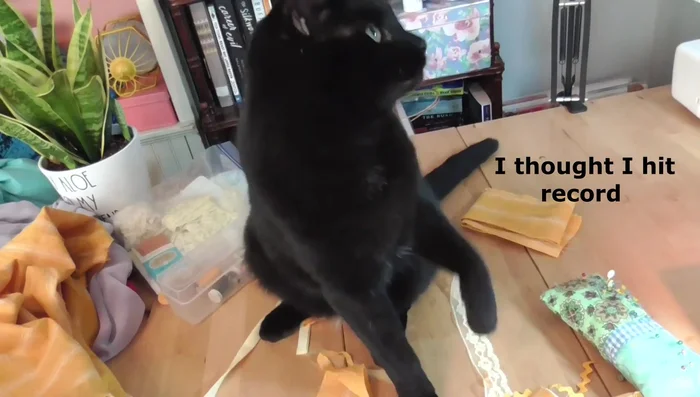 Decorate the waistband and sew it to the skirt top.