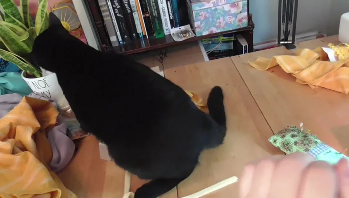 Decorate the waistband and sew it to the skirt top.