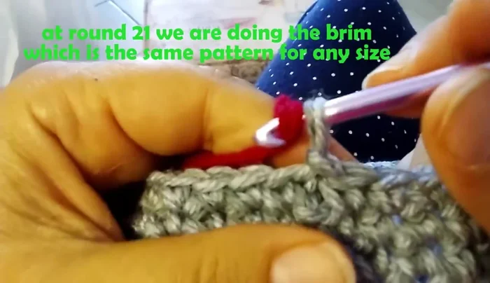 Round 24: Chain 1, 1 single crochet in each stitch around.