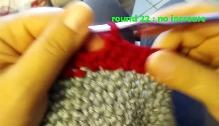 Round 24: Chain 1, 1 single crochet in each stitch around.