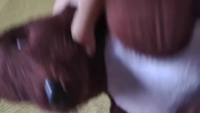 Place the baby kangaroo in the mother kangaroo's pouch.