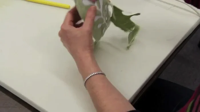 Clip the curves of the fabric, staying about 1/8 inch away from the freezer paper to prevent raw edges.