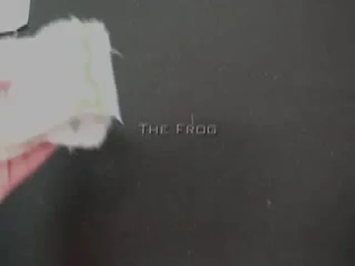 Sew around the solid line of the pattern, then cut on the dashed line (down the middle). Do not sew on the solid lines inside the dashed line; only sew the outer solid line.