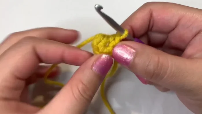 Round 4: Increase in the first stitch, single crochet in the next two stitches, repeat (24 stitches total).