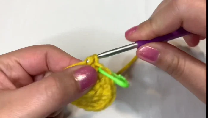 Round 4: Increase in the first stitch, single crochet in the next two stitches, repeat (24 stitches total).